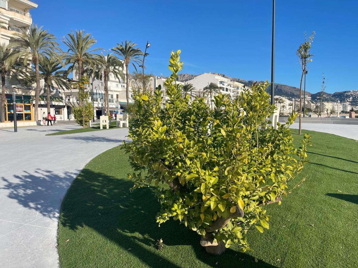 Apartamento Alteagroup Centro Εξωτερικό φωτογραφία